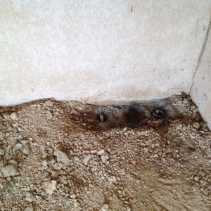 consolidation batiment